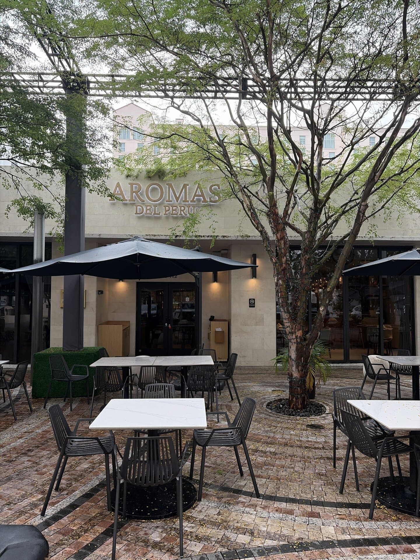 Aromas del Peru — Peruvian restaurant