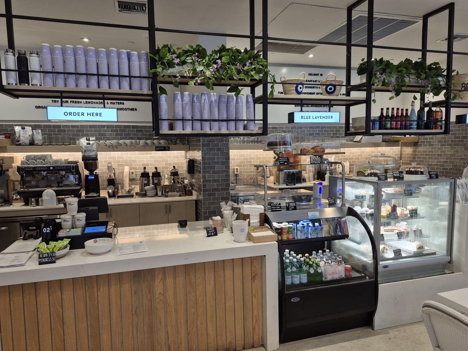 Blue Lavender Cafe photo 2