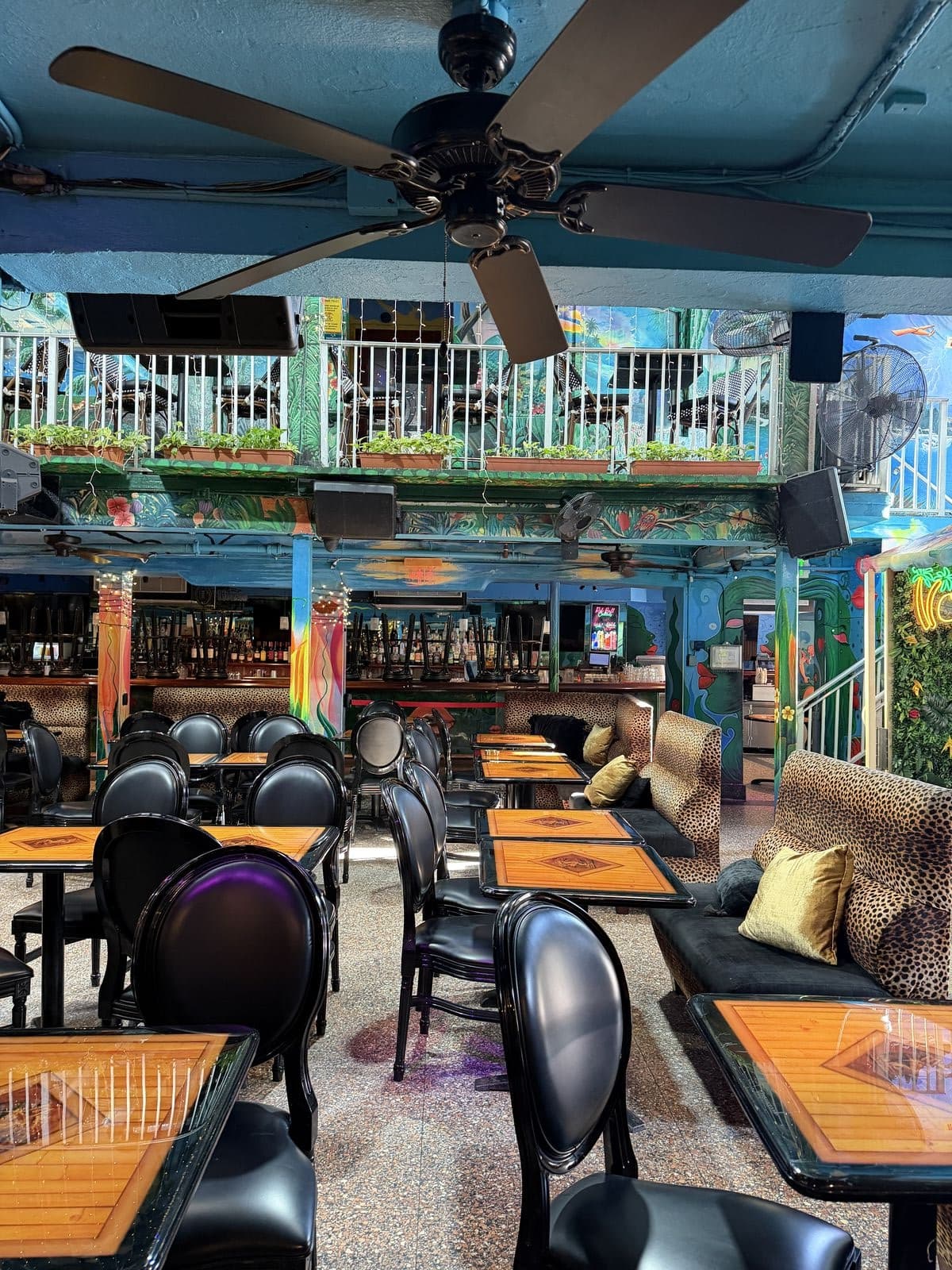 MANGO'S TROPICAL CAFE photo 6
