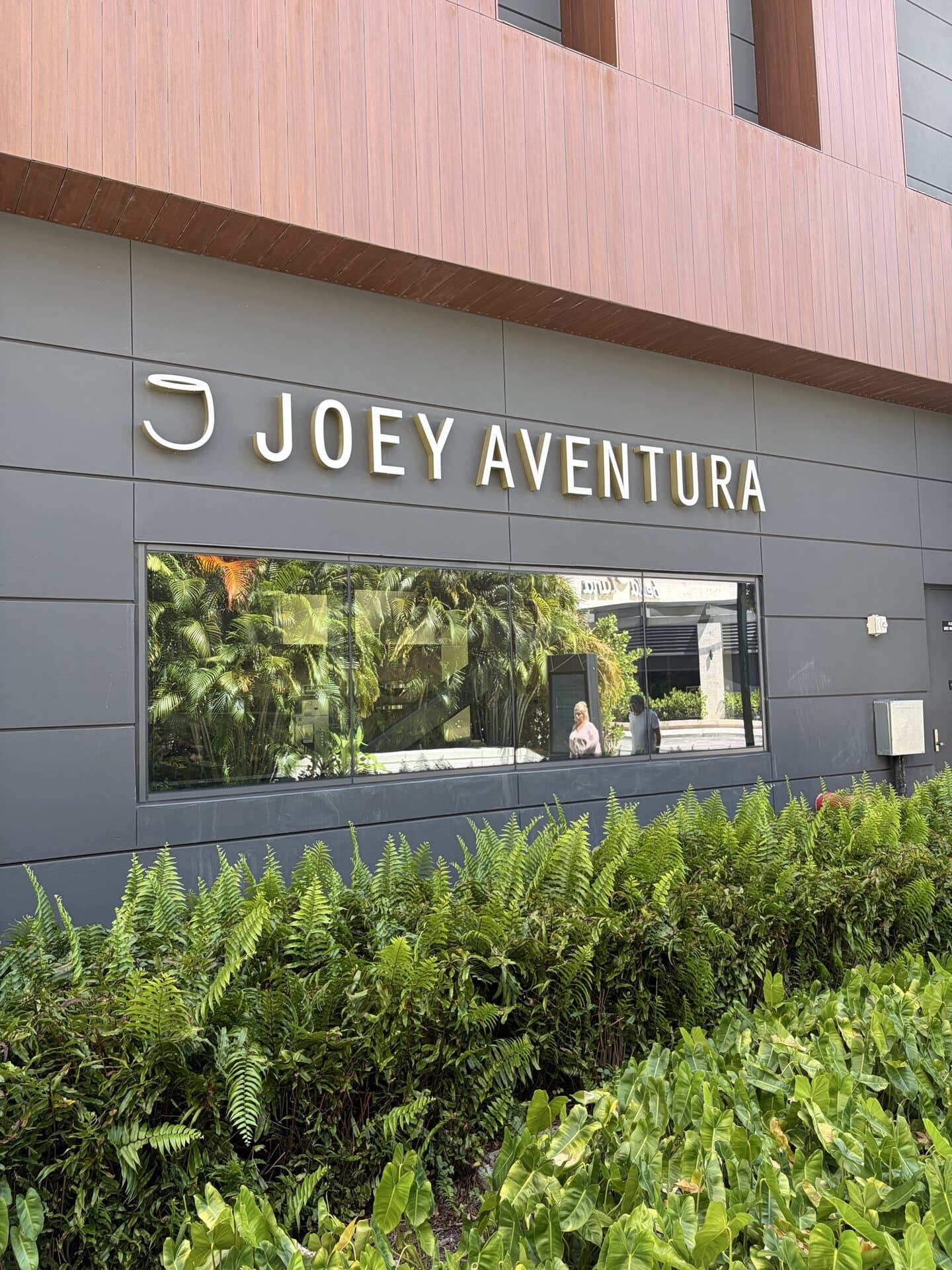 JOEY AVENTURA