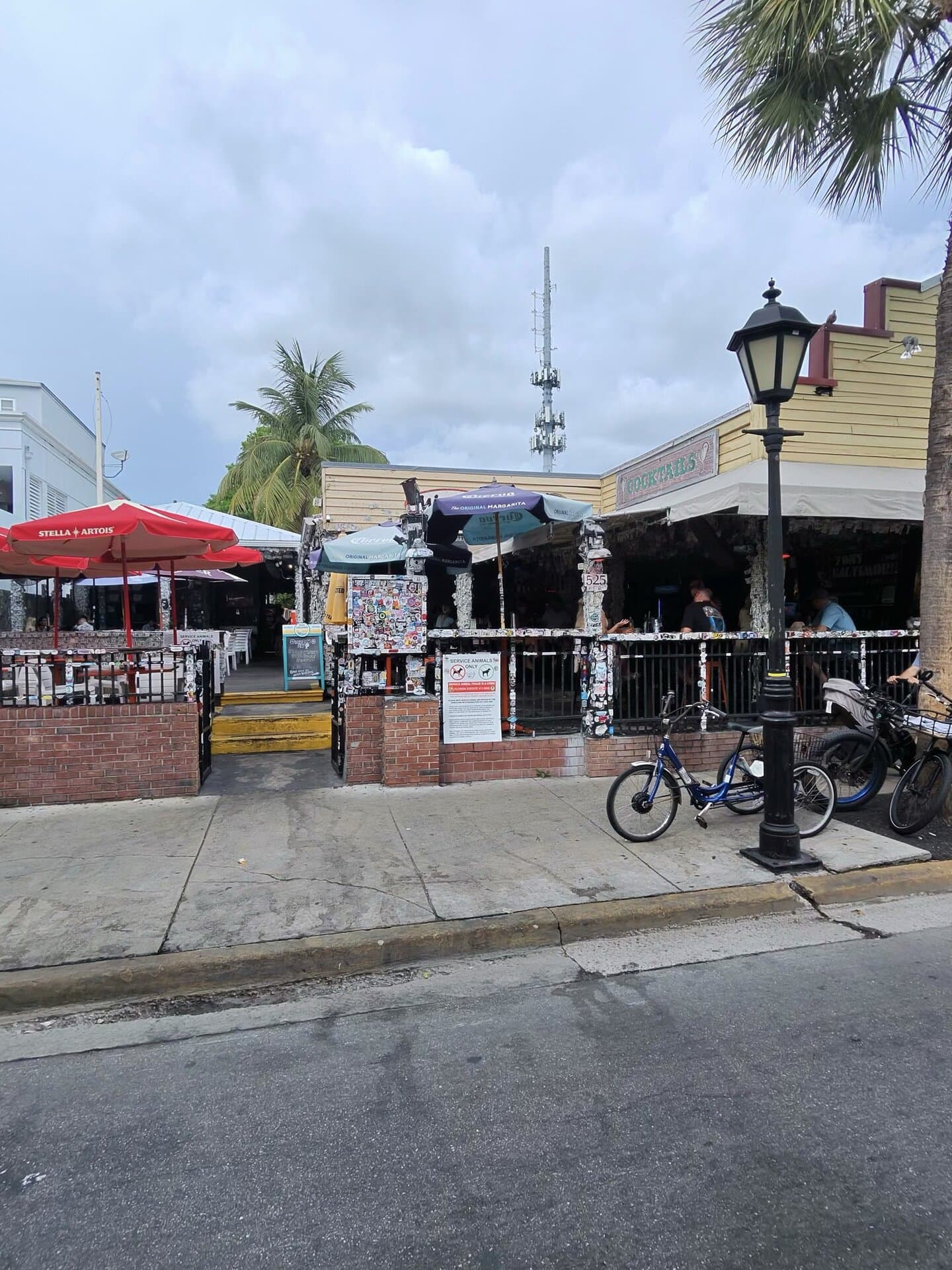 WILLIE T'S — American restaurant