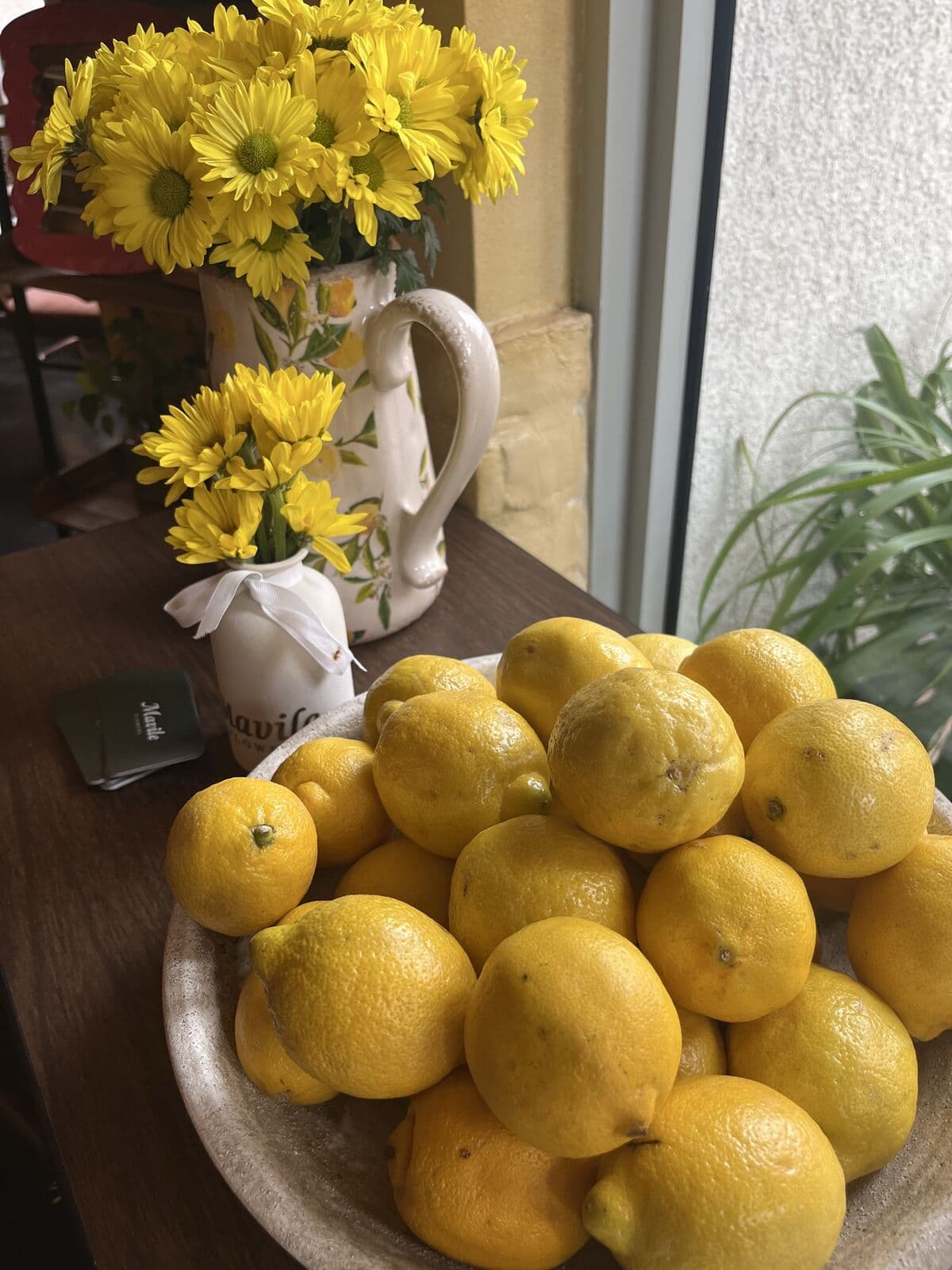 Lemonica photo 3