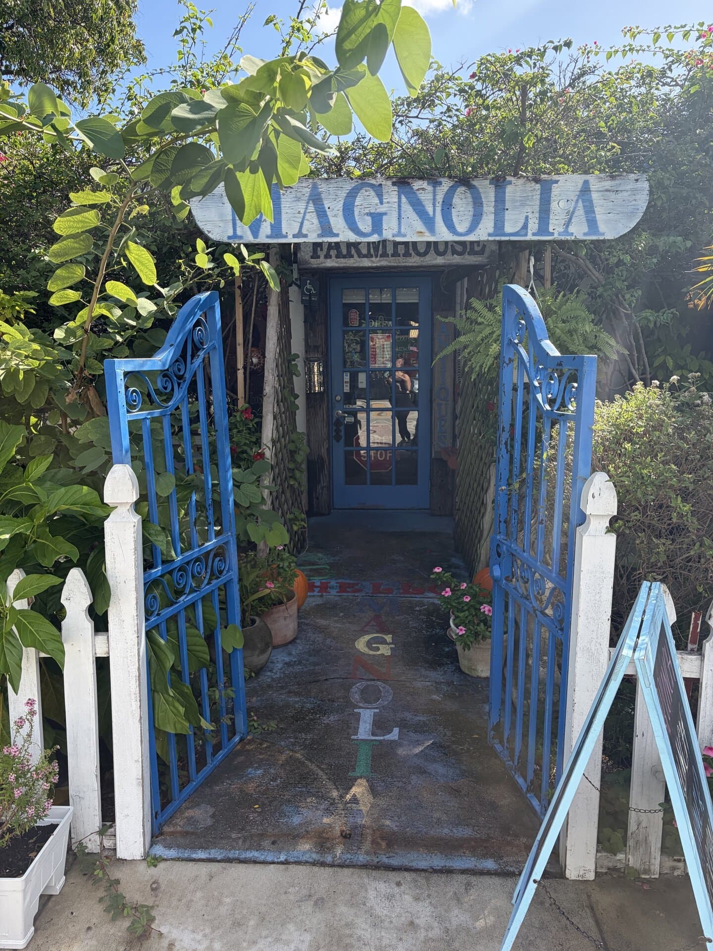 Magnolia Caffee — American restaurant